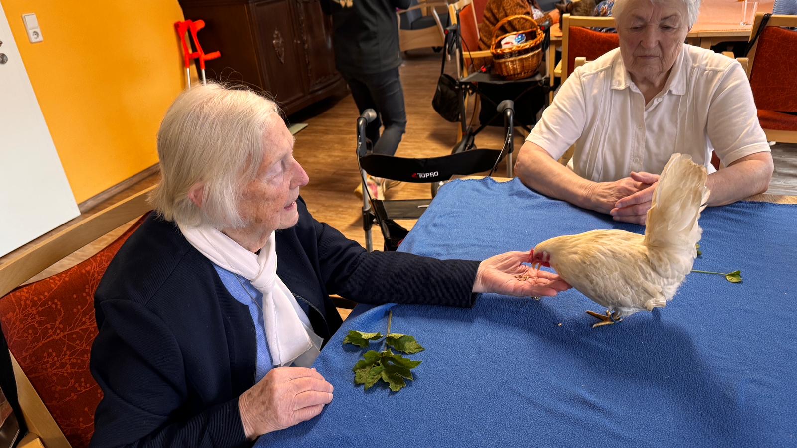 aeltere Leute ältere Leute sitzen zusammen mit einem Huhn.